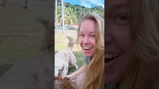 The Coconut Obsession of the World’s Most Chill Dog