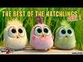 Download Lagu The Angry Birds Movie 2 | Best of the Hatchlings | Part 1
