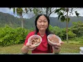 Download Lagu 25 Oahu Poke Spots: The Ultimate Poke Tour