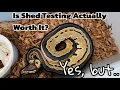 Ball Python Genetic Testing Pros Cons