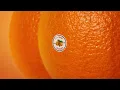 West Coast Love (Audio) - Emotional Oranges