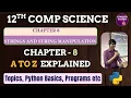 12th Computer Science Python - Chapter 8 String A to Z Python Example Programs Compulsory
