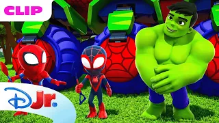 Hulk Becomes a Squirrel Marvel s Spidey and his Amazing Friends disneyjr