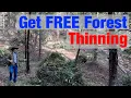 How to Get FREE Forest Thinning Fuels Reduction