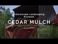 Cedar Mulch