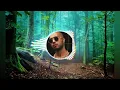 Ben Fero - Biladerim İçin ( Bass Bossted)