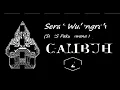Serat Wulangreh - Gambuh (2)