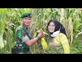 Download Lagu SUNGGUH MEMBANGGAKAN,. KEBUN JAGUNG YONIF R 514/SY KOSTRAD HASILKAN 12,5 TON..!!