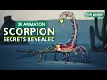 Download Lagu Scorpion Anatomy: Fascinating Insights 🦂⭐️⭐️⭐️