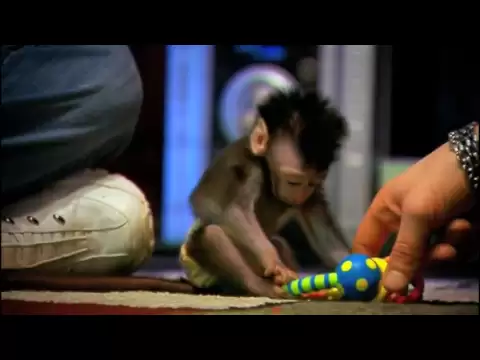 My Monkey Baby