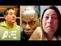 Download Lagu Court Cam: 7 Liars Who Couldn’t Escape the Truth | A\u0026E