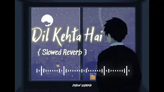 dil kehta hai akele hum akele tum amir khan manisha koirala slowed reverb song 