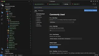22 Adding VS Code extensions to work with Angular