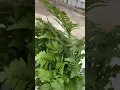 Creating a funeral cross arrangement
