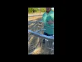 Texas Swine Saloon Hog Trap Setup Guide
