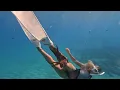 BIGGEEEE OCTOPUS 3 mermaids in Hawaii