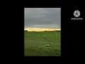 Blake Shelton - Texas (slowed x reverb)