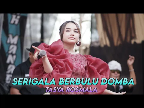 Download MP3 SERIGALA BERBULU DOMBA - TASYA ROSMALA DK MUSIK LIVE MRANGGEN JATENG | WEDDING RAHAYU & RAHMAD |