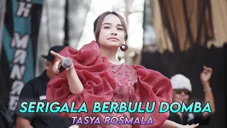serigala berbulu domba tasya rosmala dk musik live mranggen jateng wedding rahayu u0026 rahmad 