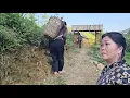 Hang s mother kept loitering outside Hong s house leaving Hong terrified