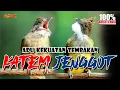 Lagu MASTERAN KAPAS TEMBAK VS CUCAK JENGGOT