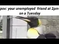 Your unemployed friend at 2pm on a Tuesday meme