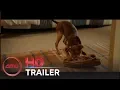 A DOG S WAY HOME - Final Trailer Bryce Dallas Howard Ashely Judd AMC Theatres 2019