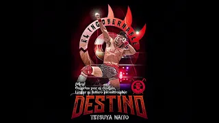Download Tetsuya Naito - STARDUST (Entrance Theme) MP3