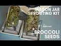 BROCCOLI SEED SPROUTING 101 How to use a mason jar sprouting kit