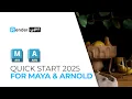 Quick Start 2025 for Maya Arnold iRender Cloud Rendering
