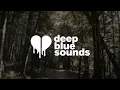 sombr - back to friends (lyrics)