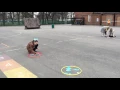 outdoor maths