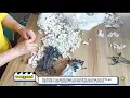 Hot Water Heater Replacement Parts Water Heater Repair Parts Water Heater Micro Switch Manufacturer
