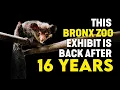 Zoo Tours The Bronx Zoo s NEWEST Big Thing