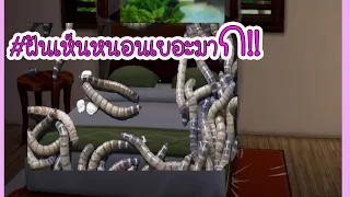ทำนายฝัน!!ฝันเห็นว่าหนอนเยอะมาก  จะได้โชคลาภอย่างไรหรือเลขเด็ดอะไร???