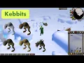 Beast - Cooking Every Item in Old School Runescape