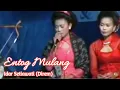 Download Lagu ENTOG MULANG IDAR SETIAWATI