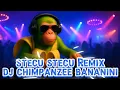 Download Lagu Stecu - Stecu x DJ Ballerina Capucina ☕ feat Chimpanzi Bananini 🙈