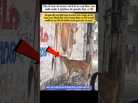 श्रीकृष्ण की जन्मभूमि के ऐसा दृश्य 😱💔 #gaumata #shrikrishna #emotional #humanity #milkfeeding #vlog