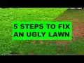How to Fix an Ugly Lawn in 5 Easy Steps