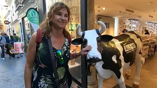 8.   Pitou’s voyage Marokko en Zuid Spanje