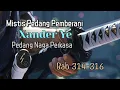 Download Lagu Bab 314-316 Dia Kekasihmu?, Mistis Pedang Pemberani  | Pedang Naga Perkasa, Xander Ye