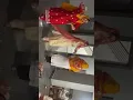 Download Lagu aati aati har layi baba