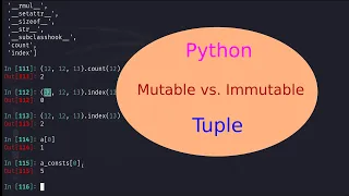 Python Basics - 19