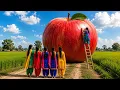 Giant Apple Adventure 5 Girls Shared a 40-Foot Apple with Everyone