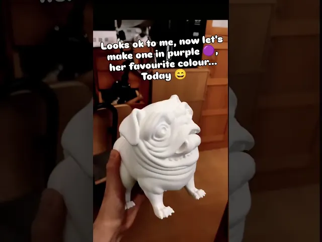 Puggybank video thumbnail