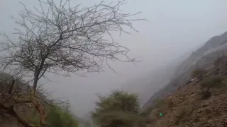 المرانه بلادي برط المراشي الجوف تصميم حسين الذيب  المرانه بلادي برط المراشي الجوف تصميم حسين الذيب