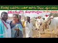 Lagu దేవరకద్ర బుధవారం ఎద్దుల సంత | Devarakadra Bulls market | Oxen prices | 14-01-2026 @purnafarms 