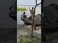 Download Lagu Naik perahu #perahu #pedesaan #sungai #ombak #hidup #alam #pecinta alam @RiversideHomesteadLife
