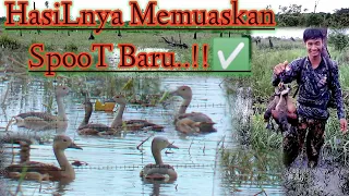 berburu burung belibis merah dan alis kuning hasilnya memuaskan spoot baru
